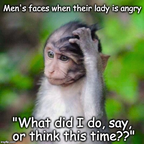 Men's faces when their lady is angry; "What did I do, say, or think this time??" | image tagged in adult humor,funny memes,funny animals | made w/ Imgflip meme maker