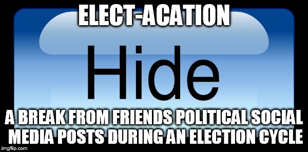 Elect-acation | ELECT-ACATION; A BREAK FROM FRIENDS POLITICAL SOCIAL MEDIA POSTS DURING AN ELECTION CYCLE | image tagged in politics | made w/ Imgflip meme maker