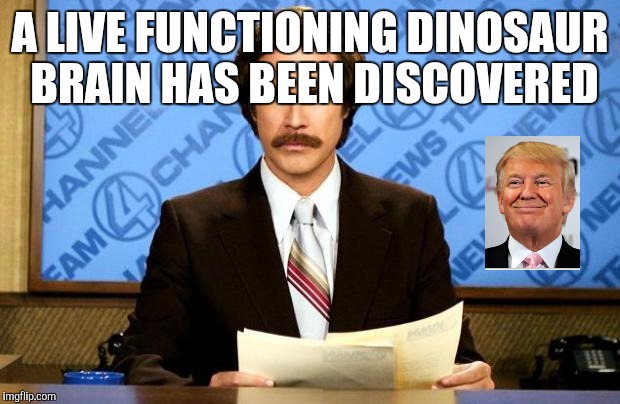 BREAKING NEWS | A LIVE FUNCTIONING DINOSAUR BRAIN HAS BEEN DISCOVERED | image tagged in breaking news | made w/ Imgflip meme maker