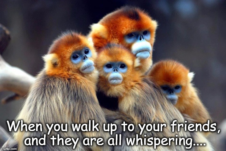 When you walk up to your friends, and they are all whispering.... | image tagged in funny memes,friends,backstabber | made w/ Imgflip meme maker