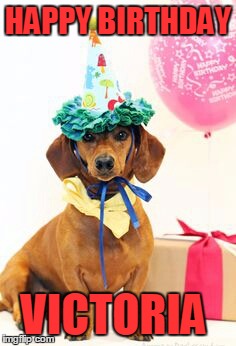 dachshund birthday  | HAPPY BIRTHDAY; VICTORIA | image tagged in dachshund birthday | made w/ Imgflip meme maker