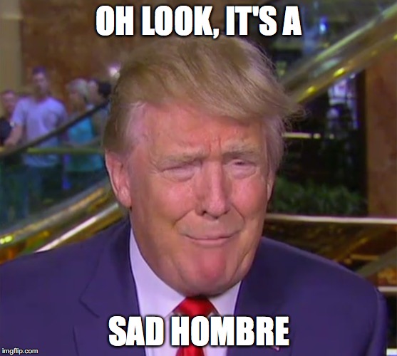 Sad Hombre | OH LOOK, IT'S A; SAD HOMBRE | image tagged in sad hombre,donald trump | made w/ Imgflip meme maker