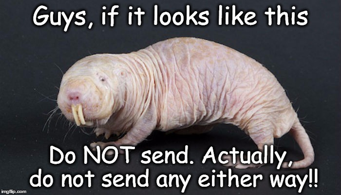 Guys, if it looks like this; Do NOT send.
Actually, do not send any either way!! | image tagged in adult humor,funny stuff | made w/ Imgflip meme maker