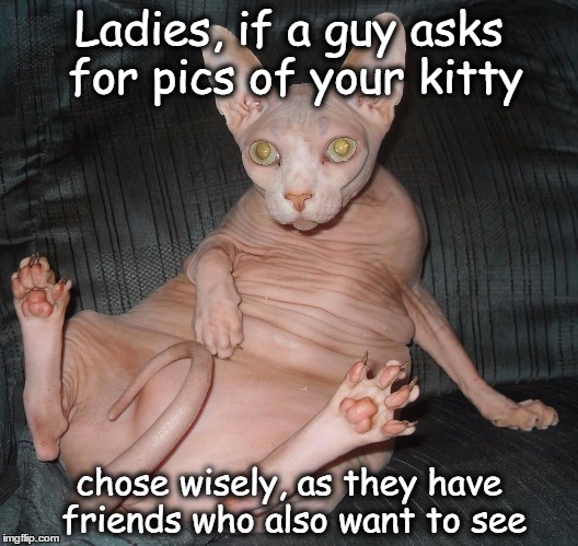 Ladies, if a guy asks for pics of your kitty; chose wisely, as they have friends who also want to see | image tagged in adult humor,seriously,ladies | made w/ Imgflip meme maker