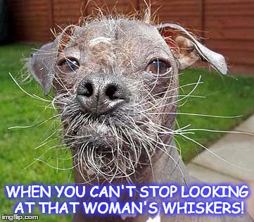 WHEN YOU CAN'T STOP LOOKING AT THAT WOMAN'S WHISKERS! | image tagged in pets,moustache,facial hair,funny memes | made w/ Imgflip meme maker