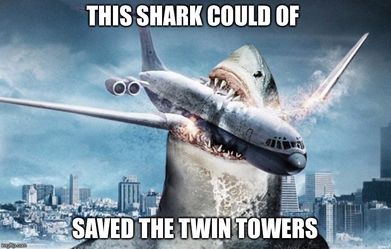THIS SHARK COULD OF; SAVED THE TWIN TOWERS | image tagged in 911 | made w/ Imgflip meme maker