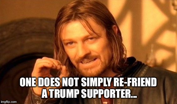 One Does Not Simply | ONE DOES NOT SIMPLY RE-FRIEND A TRUMP SUPPORTER... | image tagged in memes,one does not simply | made w/ Imgflip meme maker