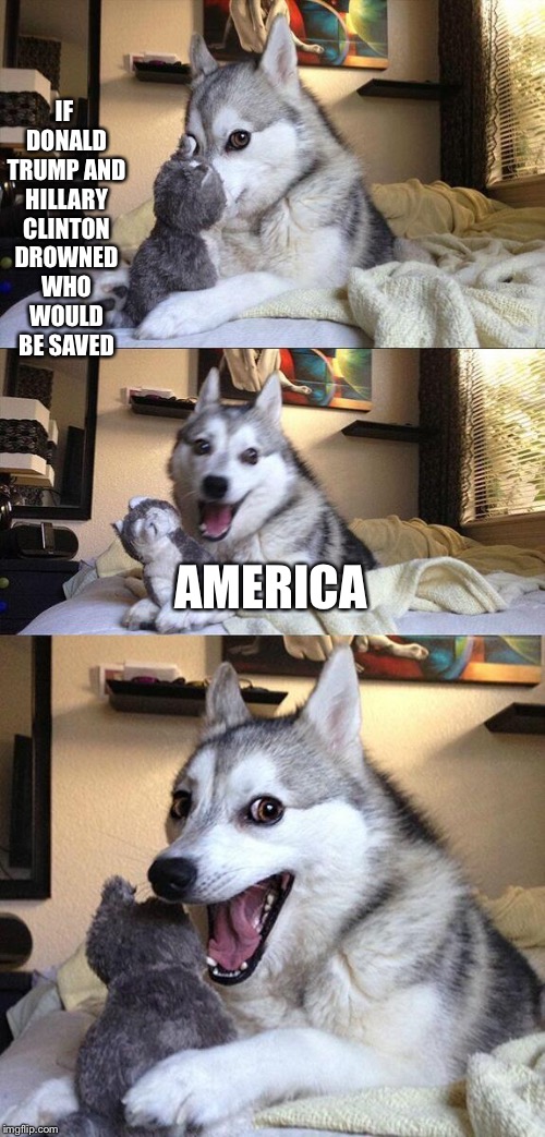 Bad Pun Dog Meme | IF DONALD TRUMP AND HILLARY CLINTON DROWNED WHO WOULD BE SAVED; AMERICA | image tagged in memes,bad pun dog | made w/ Imgflip meme maker