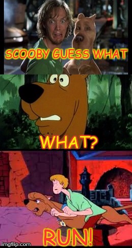 SCOOBY GUESS WHAT; WHAT? RUN! | image tagged in scooby doo | made w/ Imgflip meme maker