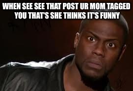 Kevin Hart Meme | WHEN SEE SEE THAT POST UR MOM TAGGED YOU THAT'S SHE THINKS IT'S FUNNY | image tagged in memes,kevin hart the hell | made w/ Imgflip meme maker