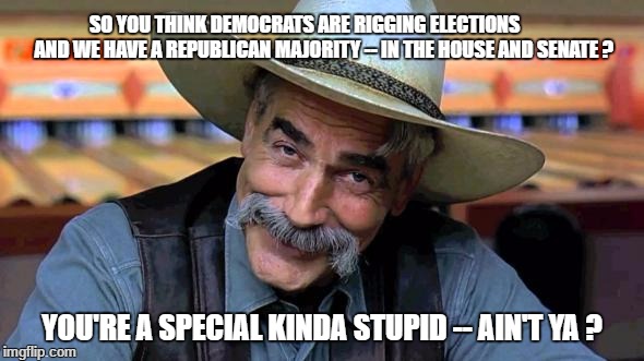 lebowski | SO YOU THINK DEMOCRATS ARE RIGGING ELECTIONS          AND WE HAVE A REPUBLICAN MAJORITY -- IN THE HOUSE AND SENATE ? YOU'RE A SPECIAL KINDA STUPID -- AIN'T YA ? | image tagged in lebowski | made w/ Imgflip meme maker