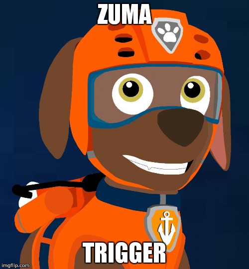 Zuma Water Pup | ZUMA; TRIGGER | image tagged in zuma | made w/ Imgflip meme maker