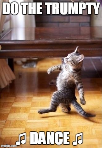 Cool Cat Stroll | DO THE TRUMPTY; ♫ DANCE ♫ | image tagged in memes,cool cat stroll | made w/ Imgflip meme maker