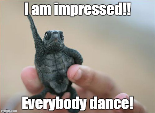Everybody dance | I am impressed!! Everybody dance! | image tagged in everybody dance | made w/ Imgflip meme maker