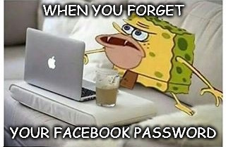 SpongeGar Computer | WHEN YOU FORGET; YOUR FACEBOOK PASSWORD | image tagged in spongegar computer | made w/ Imgflip meme maker