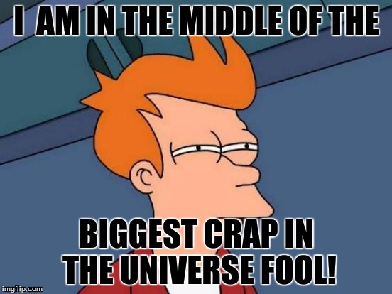 Futurama Fry Meme | I  AM IN THE MIDDLE OF THE; BIGGEST CRAP IN THE UNIVERSE FOOL! | image tagged in memes,futurama fry | made w/ Imgflip meme maker