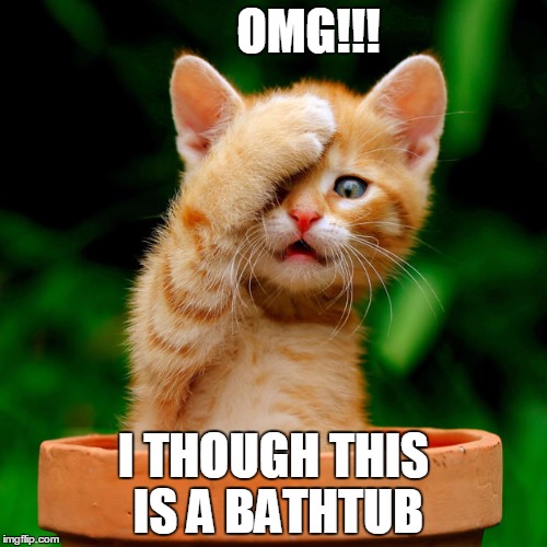 Cats mistake | OMG!!! I THOUGH THIS IS A BATHTUB | image tagged in memes,cats | made w/ Imgflip meme maker