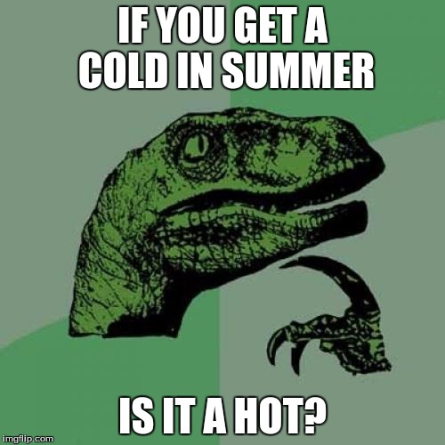 Philosoraptor Meme | IF YOU GET A COLD IN SUMMER; IS IT A HOT? | image tagged in memes,philosoraptor | made w/ Imgflip meme maker