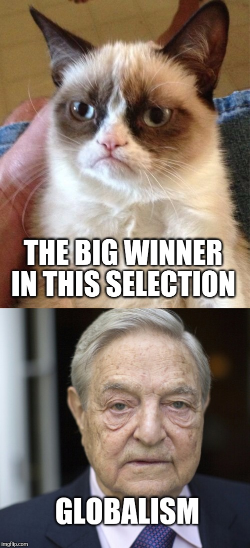 Selection results are in | THE BIG WINNER IN THIS SELECTION; GLOBALISM | image tagged in george soros,grumpy cat,2016 election | made w/ Imgflip meme maker
