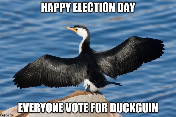 Duckguin | HAPPY ELECTION DAY; EVERYONE VOTE FOR DUCKGUIN | image tagged in duckguin | made w/ Imgflip meme maker