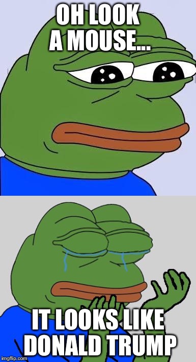 Trying to forget the entire election | OH LOOK A MOUSE... IT LOOKS LIKE DONALD TRUMP | image tagged in pepe,pepe the frog,pepe cry | made w/ Imgflip meme maker