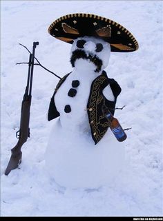 Image result for snow mexican