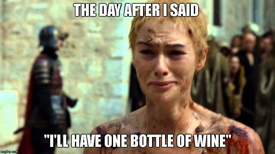 THE DAY AFTER I SAID; "I'LL HAVE ONE BOTTLE OF WINE" | image tagged in wine,shame,what is life | made w/ Imgflip meme maker