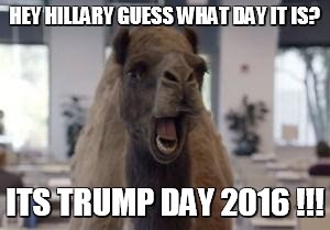 Hump Day Camel | HEY HILLARY GUESS WHAT DAY IT IS? ITS TRUMP DAY 2016 !!! | image tagged in hump day camel | made w/ Imgflip meme maker