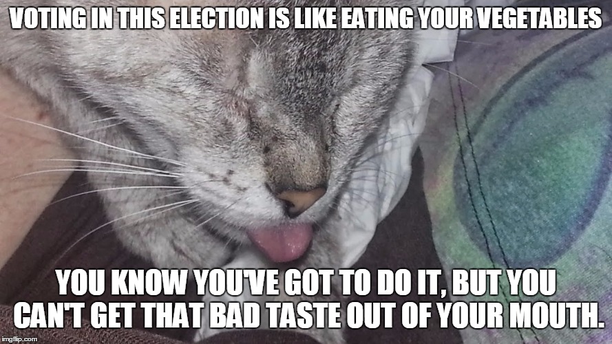 It's like choosing between broccoli and brussels sprouts... | VOTING IN THIS ELECTION IS LIKE EATING YOUR VEGETABLES; YOU KNOW YOU'VE GOT TO DO IT, BUT YOU CAN'T GET THAT BAD TASTE OUT OF YOUR MOUTH. | image tagged in cat sticking out tongue,election 2016,is it over yet | made w/ Imgflip meme maker