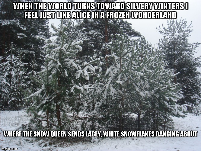 Frozen Wonderland | WHEN THE WORLD TURNS TOWARD SILVERY WINTERS
I FEEL JUST LIKE ALICE IN A FROZEN WONDERLAND; WHERE THE SNOW QUEEN SENDS LACEY, WHITE SNOWFLAKES DANCING ABOUT | image tagged in winter,wonderland,snow queen,snowflakes | made w/ Imgflip meme maker