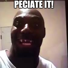 peciate it! | PECIATE IT! | image tagged in slowstack | made w/ Imgflip meme maker