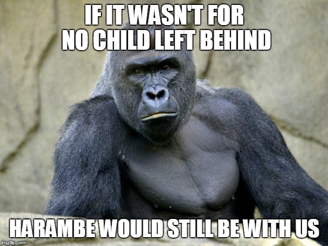 IF IT WASN'T FOR NO CHILD LEFT BEHIND; HARAMBE WOULD STILL BE WITH US | image tagged in harambe,no child left behind | made w/ Imgflip meme maker