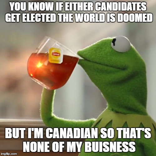 But That's None Of My Business | YOU KNOW IF EITHER CANDIDATES GET ELECTED THE WORLD IS DOOMED; BUT I'M CANADIAN SO THAT'S NONE OF MY BUISNESS | image tagged in memes,but thats none of my business,kermit the frog | made w/ Imgflip meme maker