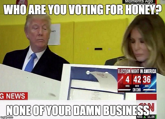 Donald Trump Voting | WHO ARE YOU VOTING FOR HONEY? NONE OF YOUR DAMN BUSINESS | image tagged in donald trump,voting,election 2016,melania trump,new york | made w/ Imgflip meme maker