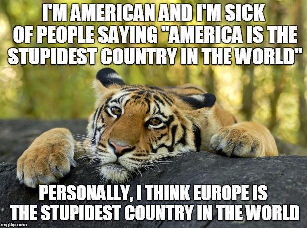Confession Tiger | I'M AMERICAN AND I'M SICK OF PEOPLE SAYING "AMERICA IS THE STUPIDEST COUNTRY IN THE WORLD"; PERSONALLY, I THINK EUROPE IS THE STUPIDEST COUNTRY IN THE WORLD | image tagged in confession tiger | made w/ Imgflip meme maker