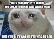 cry cat | WHEN YOUR EMPLOYER ASKS IF YOU GOT ANY FRIENDS WHO WANNA WORK; BUT YOU AIN'T GOT NO FRIENDS TO ASK | image tagged in cry cat | made w/ Imgflip meme maker