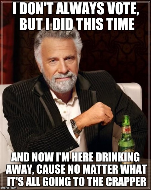 The Most Interesting Man In The World | I DON'T ALWAYS VOTE, BUT I DID THIS TIME; AND NOW I'M HERE DRINKING AWAY, CAUSE NO MATTER WHAT IT'S ALL GOING TO THE CRAPPER | image tagged in memes,the most interesting man in the world | made w/ Imgflip meme maker