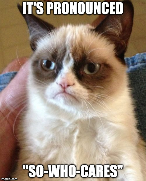 Grumpy Cat Meme | IT'S PRONOUNCED "SO-WHO-CARES" | image tagged in memes,grumpy cat | made w/ Imgflip meme maker