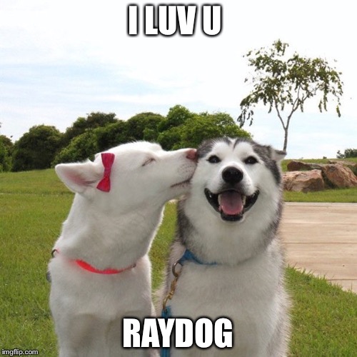 Dogs Kissing | I LUV U; RAYDOG | image tagged in dogs kissing | made w/ Imgflip meme maker