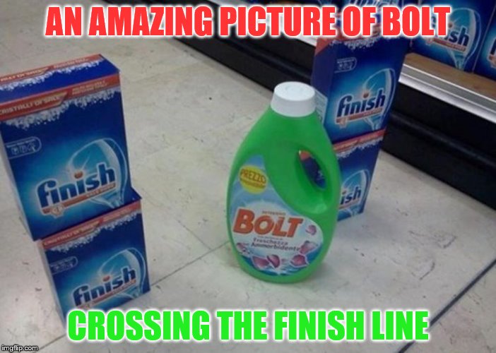 An amazing picture of BOLT crossing the FINISH line | AN AMAZING PICTURE OF BOLT; CROSSING THE FINISH LINE | image tagged in an amazing picture of bolt crossing the finish line | made w/ Imgflip meme maker