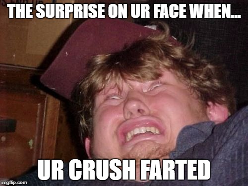 WTF Meme | THE SURPRISE ON UR FACE WHEN... UR CRUSH FARTED | image tagged in memes,wtf | made w/ Imgflip meme maker