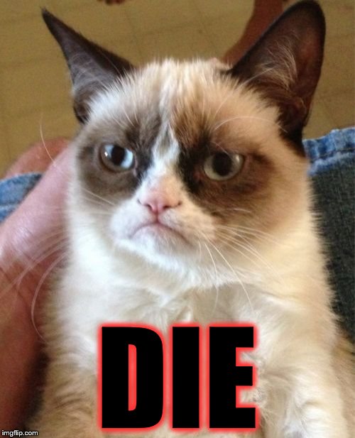 Grumpy Cat Meme | DIE | image tagged in memes,grumpy cat | made w/ Imgflip meme maker