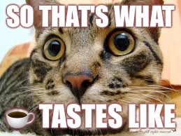 Cat memes | SO THAT'S WHAT; ☕ TASTES LIKE | image tagged in cat memes | made w/ Imgflip meme maker