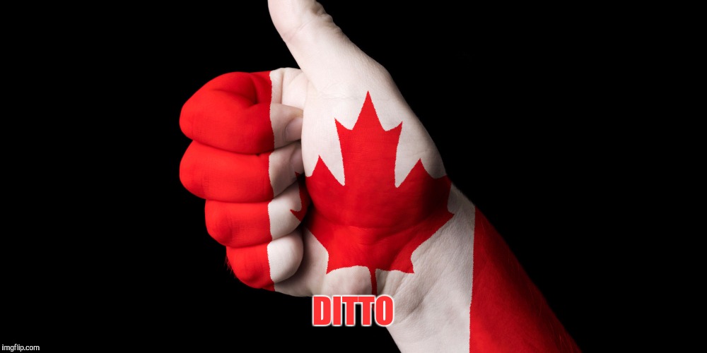 DITTO | made w/ Imgflip meme maker