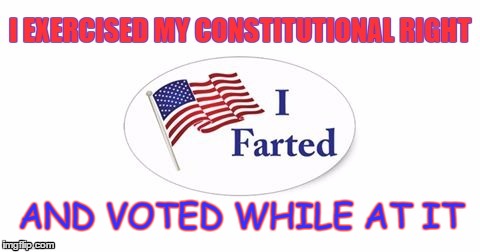 My Rights As A American | AND VOTED WHILE AT IT | image tagged in i voted,i farted,farted,farted while voting | made w/ Imgflip meme maker