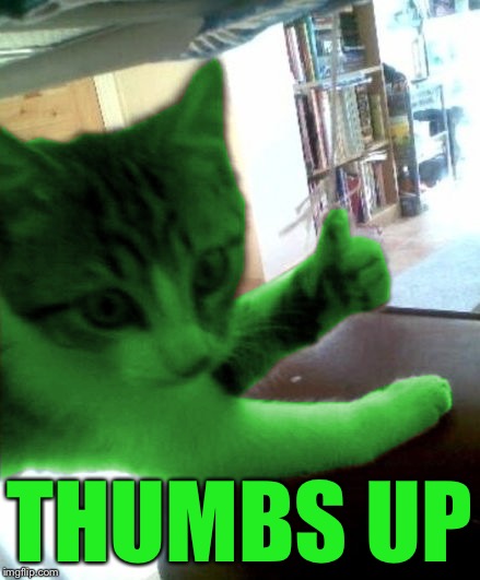 thumbs up RayCat | THUMBS UP | image tagged in thumbs up raycat | made w/ Imgflip meme maker