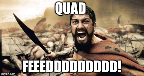 Sparta Leonidas | QUAD; FEEEDDDDDDDDD! | image tagged in memes,sparta leonidas | made w/ Imgflip meme maker