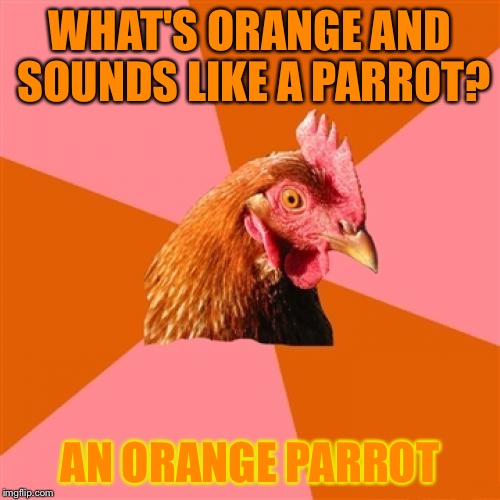 Anti Joke Chicken Meme | WHAT'S ORANGE AND SOUNDS LIKE A PARROT? AN ORANGE PARROT | image tagged in memes,anti joke chicken | made w/ Imgflip meme maker