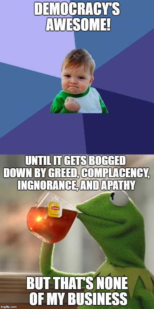 On Election Day vote, but remember why we vote. | DEMOCRACY'S AWESOME! UNTIL IT GETS BOGGED DOWN BY GREED, COMPLACENCY, INGNORANCE, AND APATHY; BUT THAT'S NONE OF MY BUSINESS | image tagged in success kid,but thats none of my business,election 2016,voting,memes,funny | made w/ Imgflip meme maker
