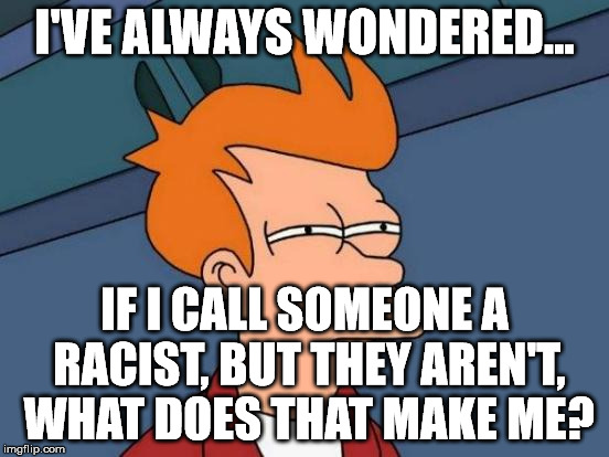 Futurama Fry Meme | I'VE ALWAYS WONDERED... IF I CALL SOMEONE A RACIST, BUT THEY AREN'T, WHAT DOES THAT MAKE ME? | image tagged in memes,futurama fry | made w/ Imgflip meme maker